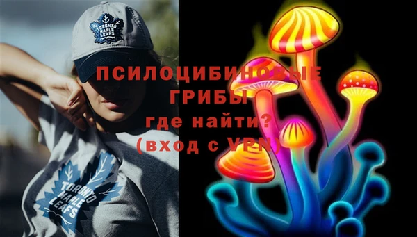 герыч Бородино