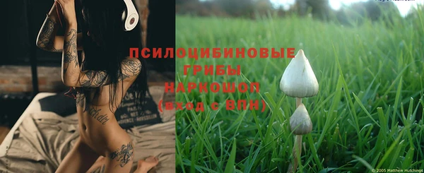 не бодяженный Бронницы